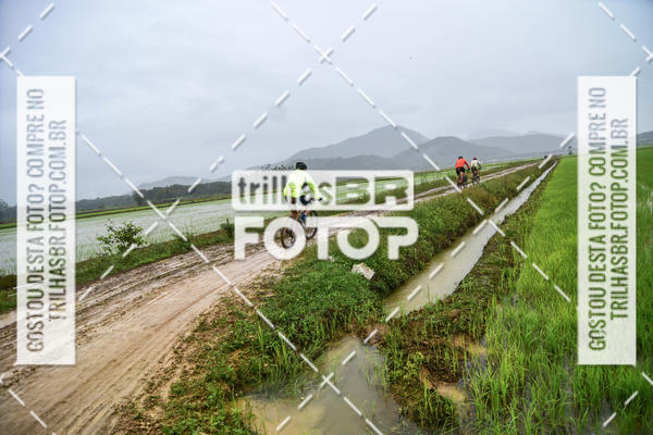 Buy your photos of the eventCircuito Soul de Mountain Bike 2017 - Joinville - SC on Fotop