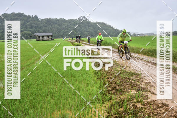 Buy your photos of the eventCircuito Soul de Mountain Bike 2017 - Joinville - SC on Fotop