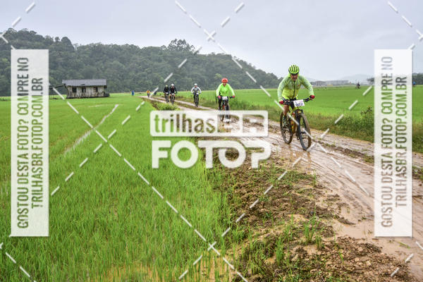 Buy your photos of the eventCircuito Soul de Mountain Bike 2017 - Joinville - SC on Fotop