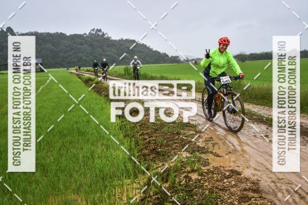 Buy your photos of the eventCircuito Soul de Mountain Bike 2017 - Joinville - SC on Fotop