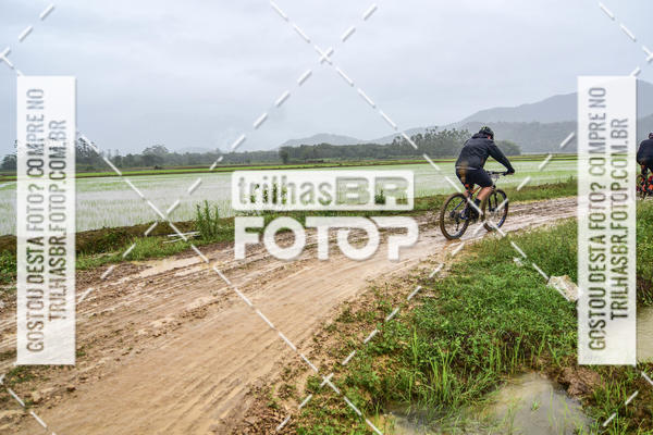 Buy your photos of the eventCircuito Soul de Mountain Bike 2017 - Joinville - SC on Fotop