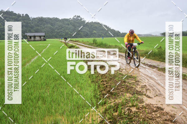 Buy your photos of the eventCircuito Soul de Mountain Bike 2017 - Joinville - SC on Fotop