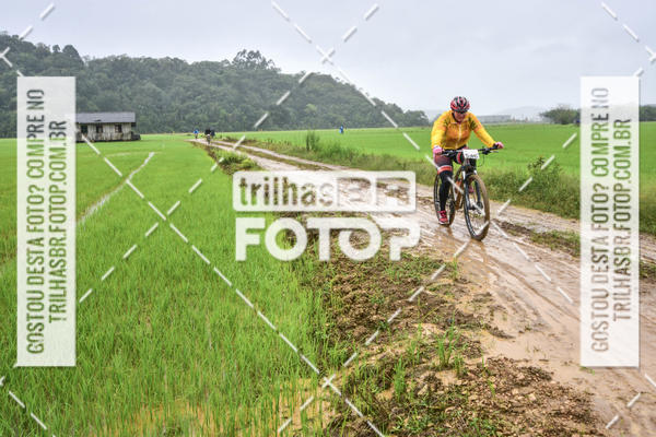 Buy your photos of the eventCircuito Soul de Mountain Bike 2017 - Joinville - SC on Fotop