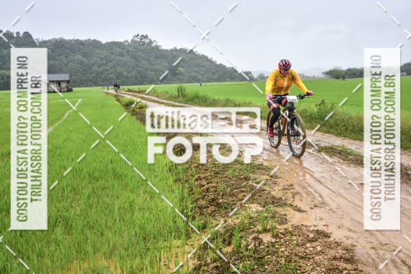Buy your photos of the eventCircuito Soul de Mountain Bike 2017 - Joinville - SC on Fotop