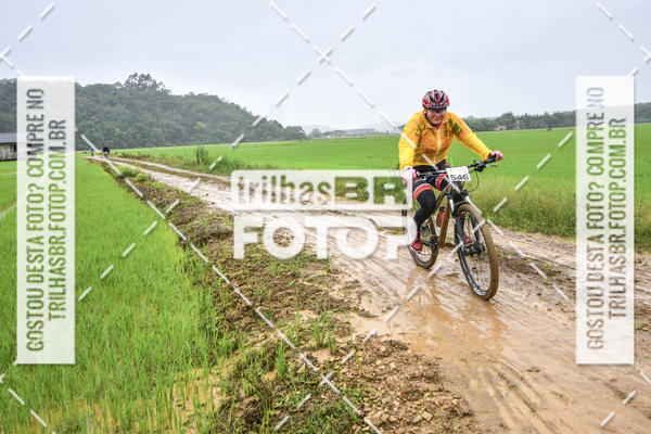 Buy your photos of the eventCircuito Soul de Mountain Bike 2017 - Joinville - SC on Fotop