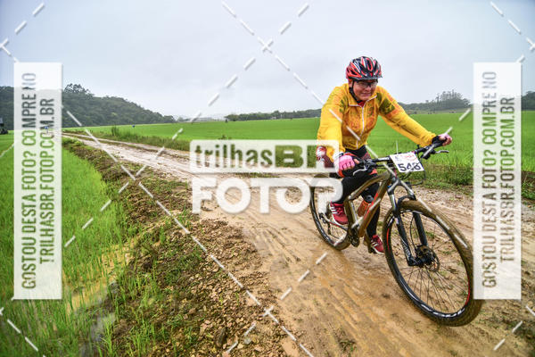 Buy your photos of the eventCircuito Soul de Mountain Bike 2017 - Joinville - SC on Fotop