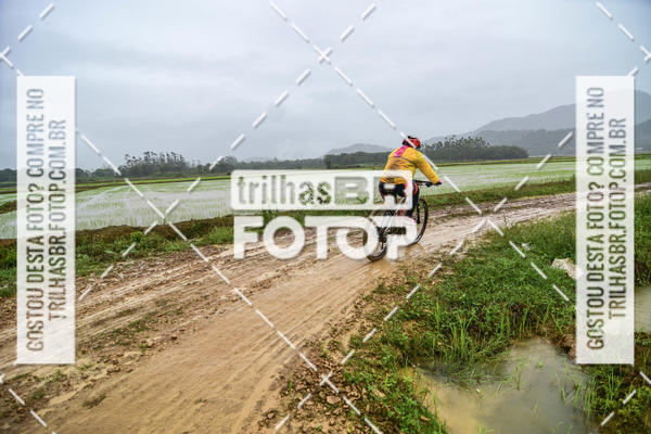 Buy your photos of the eventCircuito Soul de Mountain Bike 2017 - Joinville - SC on Fotop