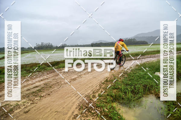 Buy your photos of the eventCircuito Soul de Mountain Bike 2017 - Joinville - SC on Fotop
