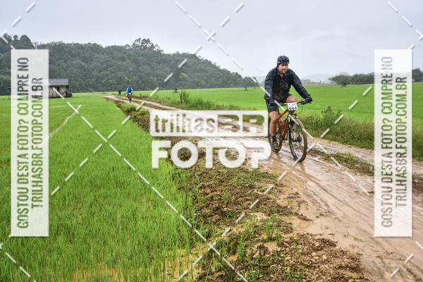 Buy your photos of the eventCircuito Soul de Mountain Bike 2017 - Joinville - SC on Fotop