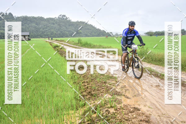 Buy your photos of the eventCircuito Soul de Mountain Bike 2017 - Joinville - SC on Fotop