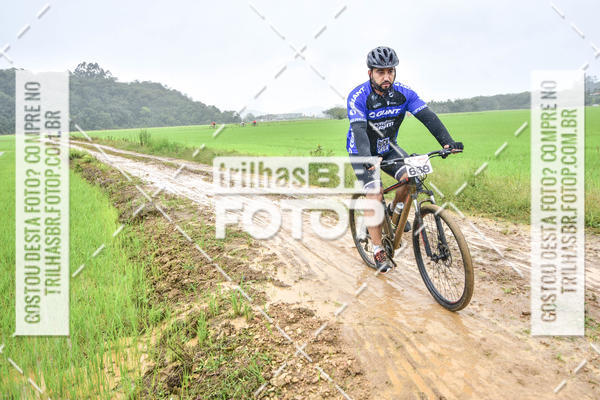 Buy your photos of the eventCircuito Soul de Mountain Bike 2017 - Joinville - SC on Fotop