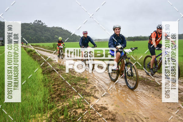 Buy your photos of the eventCircuito Soul de Mountain Bike 2017 - Joinville - SC on Fotop