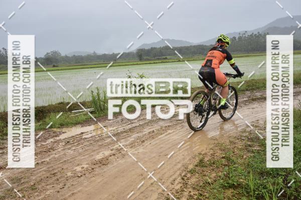 Buy your photos of the eventCircuito Soul de Mountain Bike 2017 - Joinville - SC on Fotop