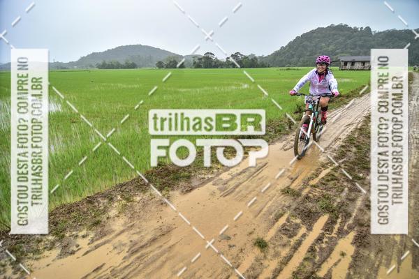 Buy your photos of the eventCircuito Soul de Mountain Bike 2017 - Joinville - SC on Fotop