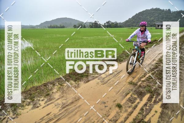 Buy your photos of the eventCircuito Soul de Mountain Bike 2017 - Joinville - SC on Fotop