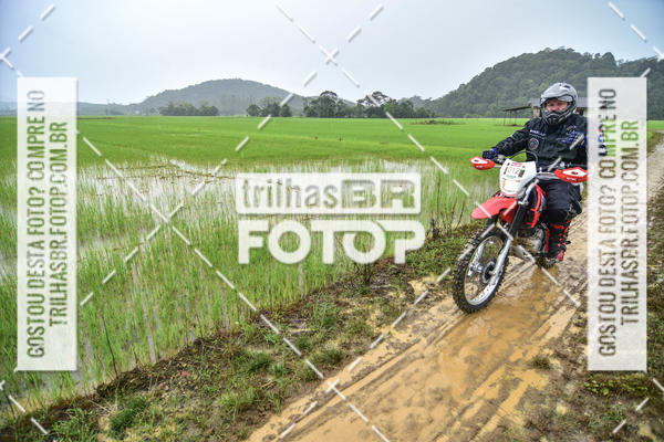 Buy your photos of the eventCircuito Soul de Mountain Bike 2017 - Joinville - SC on Fotop