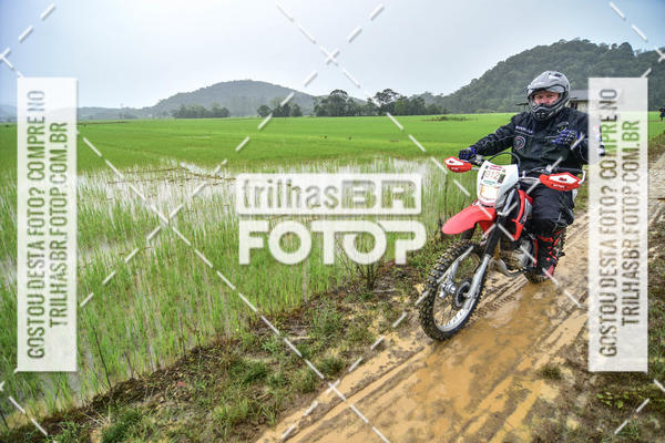 Buy your photos of the eventCircuito Soul de Mountain Bike 2017 - Joinville - SC on Fotop