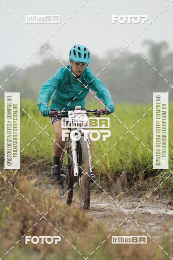 Buy your photos of the eventCircuito Soul de Mountain Bike 2017 - Joinville - SC on Fotop