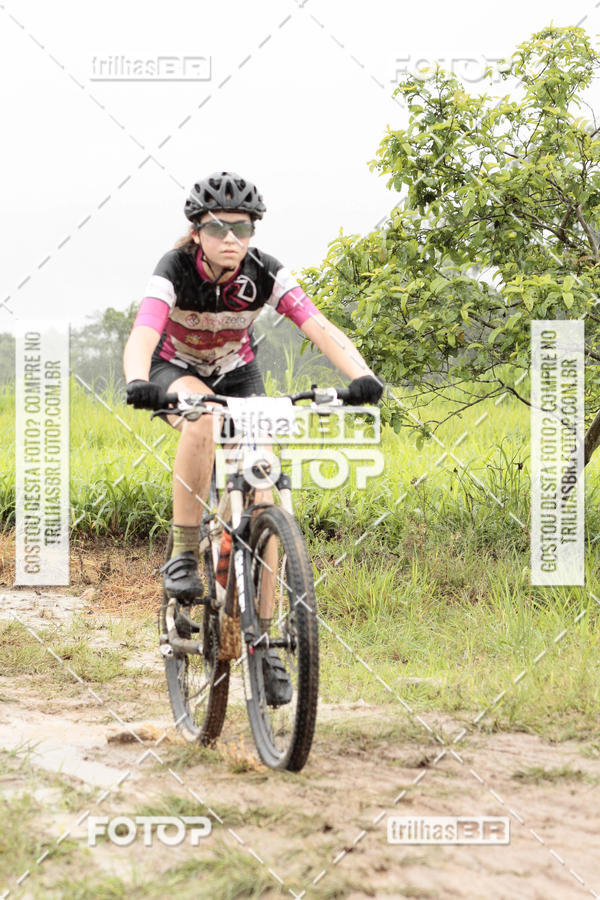 Buy your photos of the eventCircuito Soul de Mountain Bike 2017 - Joinville - SC on Fotop