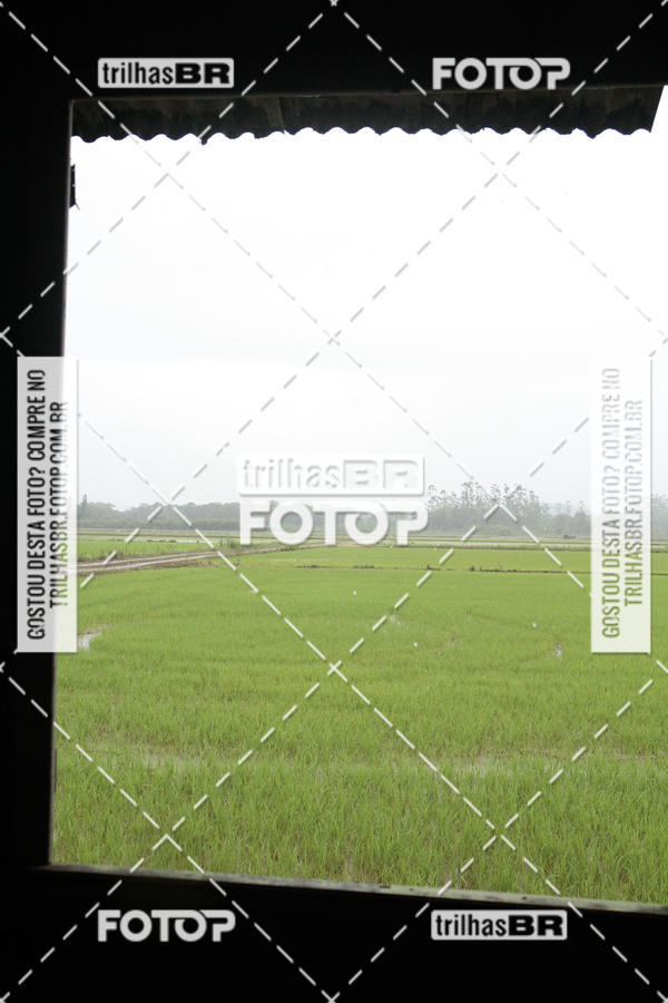 Buy your photos of the eventCircuito Soul de Mountain Bike 2017 - Joinville - SC on Fotop