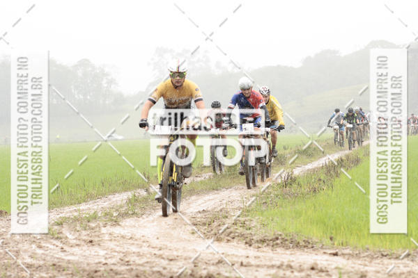 Buy your photos of the eventCircuito Soul de Mountain Bike 2017 - Joinville - SC on Fotop