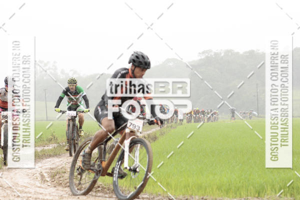 Buy your photos of the eventCircuito Soul de Mountain Bike 2017 - Joinville - SC on Fotop