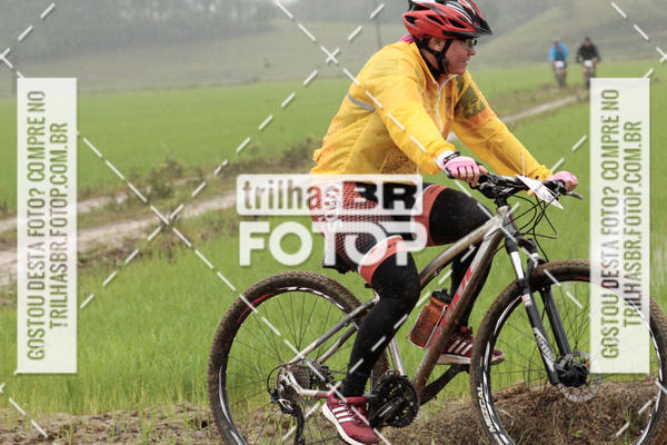 Buy your photos of the eventCircuito Soul de Mountain Bike 2017 - Joinville - SC on Fotop