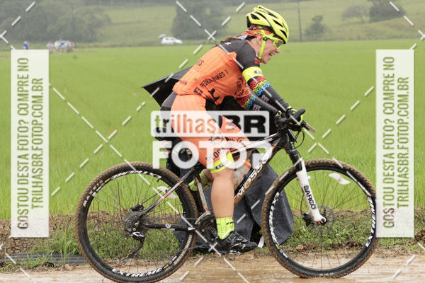 Buy your photos of the eventCircuito Soul de Mountain Bike 2017 - Joinville - SC on Fotop