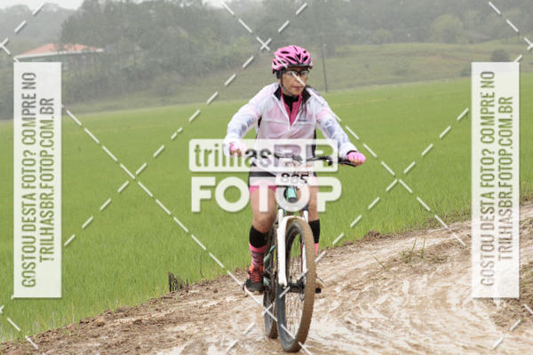 Buy your photos of the eventCircuito Soul de Mountain Bike 2017 - Joinville - SC on Fotop