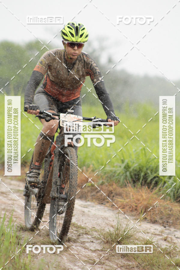 Compra tus fotos del eventoCircuito Soul de Mountain Bike 2017 - Joinville - SC En Fotop