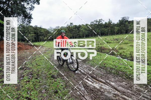 Buy your photos of the eventCircuito Soul de Mountain Bike 2017 - Joinville - SC on Fotop