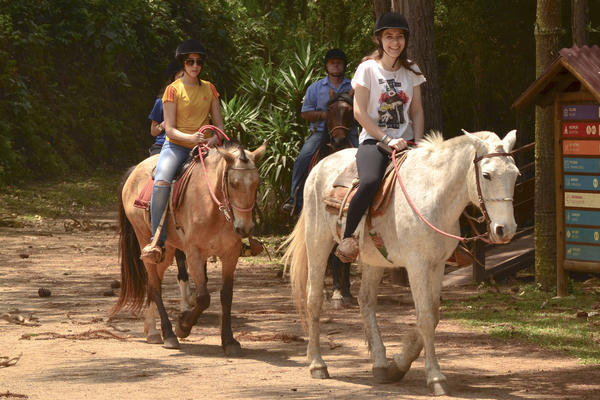 Buy your photos of the eventNRSUN - 08 a 11/10/17 on Fotop