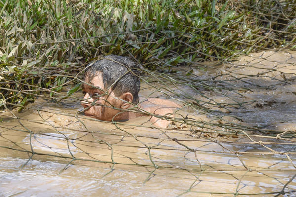 Buy your photos of the eventNRSUN - 08 a 11/10/17 on Fotop