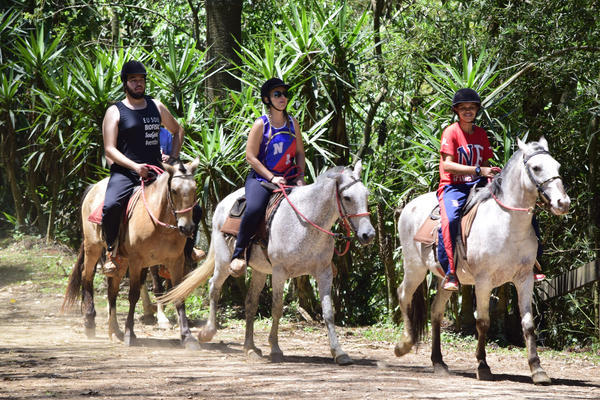 Buy your photos of the eventNRSUN - 11 A 15/10/17 on Fotop