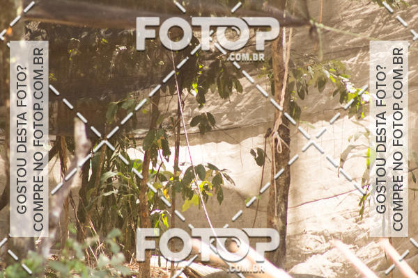 Buy your photos of the eventJogo Aberto e Treinamento ITTI - JPA Airsoft on Fotop