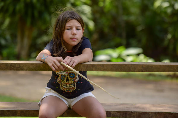 Buy your photos of the eventNR1 � Ol� 6� Ano �  15 a 18/10/17 on Fotop