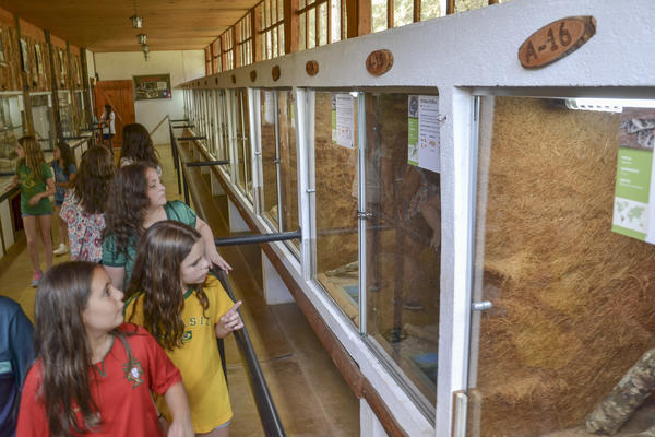 Buy your photos of the eventNR1 � Ol� 6� Ano �  15 a 18/10/17 on Fotop