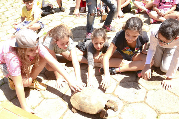 Buy your photos of the eventNR1 � Ol� 6� Ano �  15 a 18/10/17 on Fotop