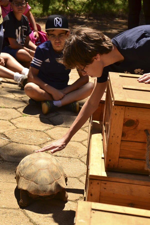 Buy your photos of the eventNR1 � Ol� 6� Ano �  15 a 18/10/17 on Fotop