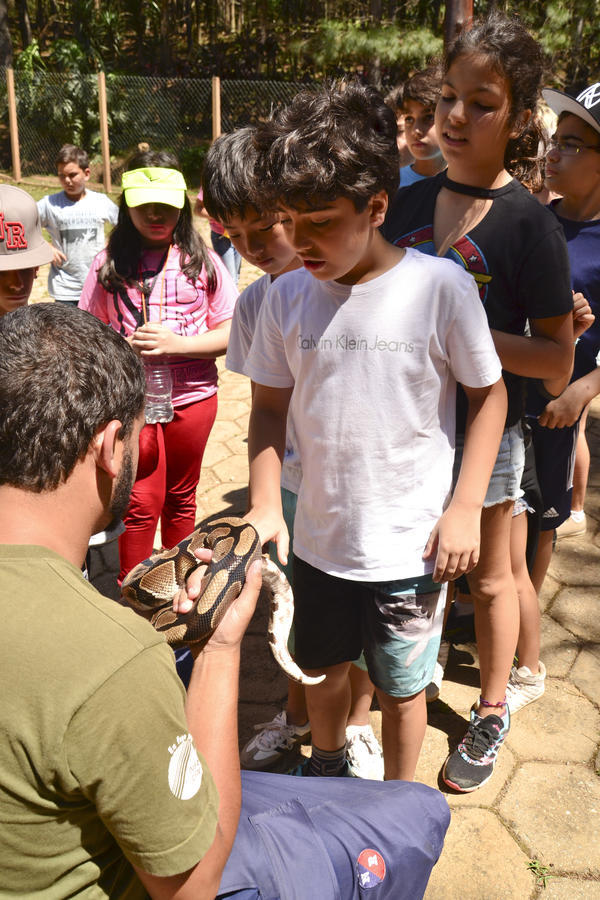 Buy your photos of the eventNR1 � Ol� 6� Ano �  15 a 18/10/17 on Fotop