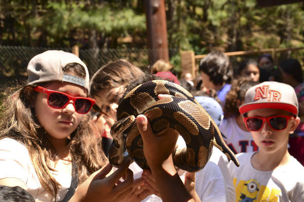 Buy your photos of the eventNR1 � Ol� 6� Ano �  15 a 18/10/17 on Fotop