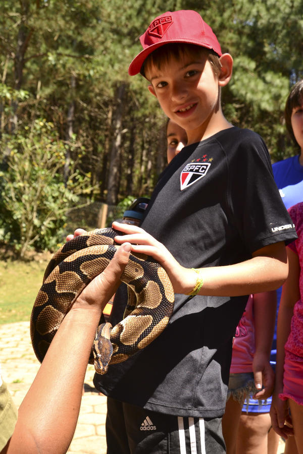 Buy your photos of the eventNR1 � Ol� 6� Ano �  15 a 18/10/17 on Fotop