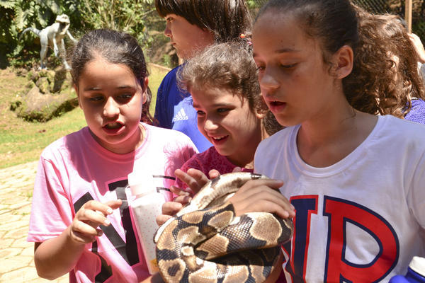 Buy your photos of the eventNR1 � Ol� 6� Ano �  15 a 18/10/17 on Fotop