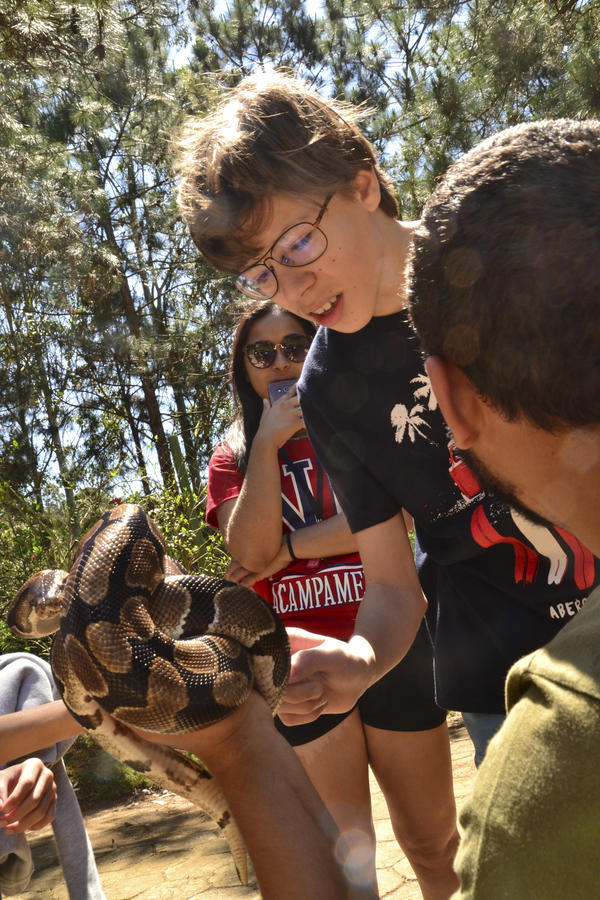 Buy your photos of the eventNR1 � Ol� 6� Ano �  15 a 18/10/17 on Fotop