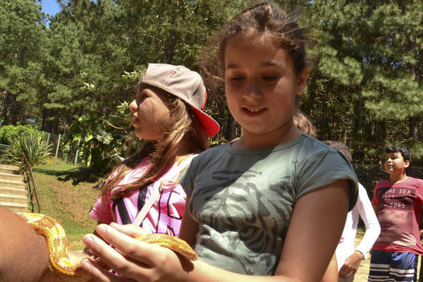 Buy your photos of the eventNR1 � Ol� 6� Ano �  15 a 18/10/17 on Fotop