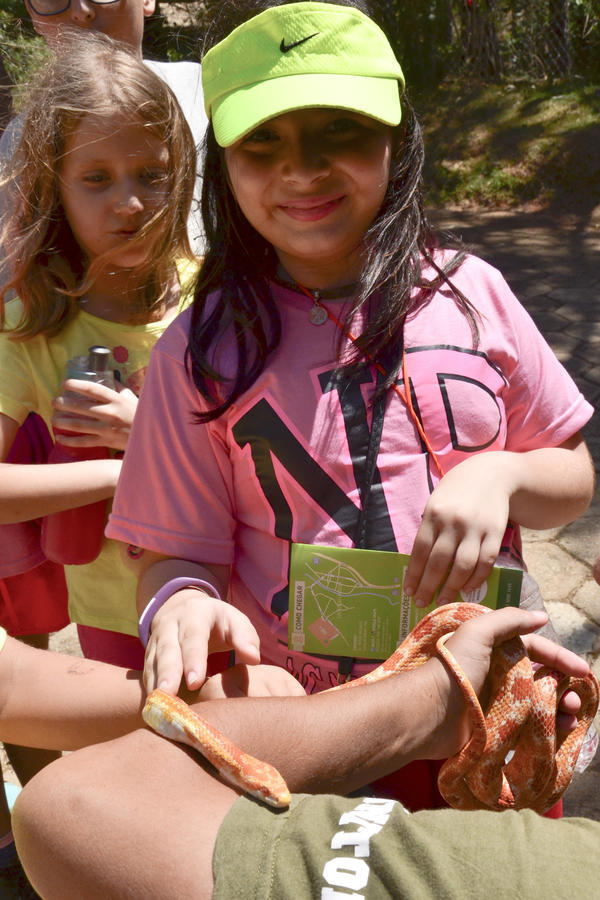 Buy your photos of the eventNR1 � Ol� 6� Ano �  15 a 18/10/17 on Fotop