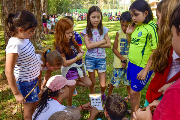 Buy your photos of the eventNR1 - Cl�ssico  18 a 20/10/17 on Fotop