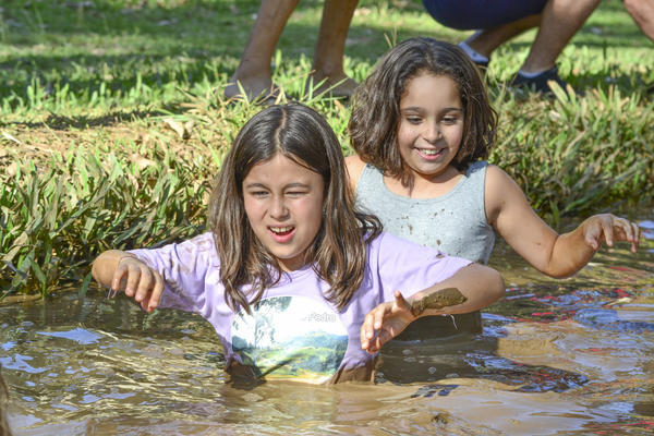 Buy your photos of the eventNR1 - Cl�ssico  18 a 20/10/17 on Fotop