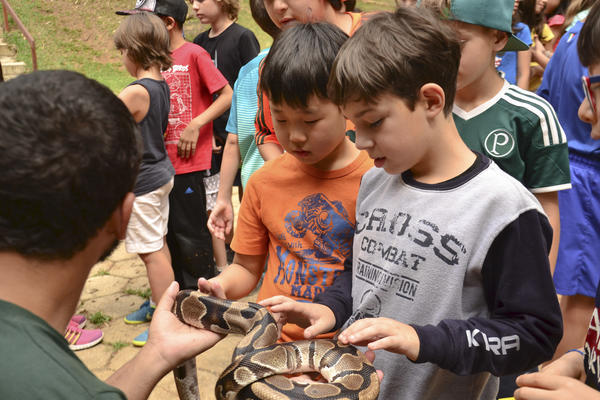 Buy your photos of the eventNR1 - Cl�ssico  18 a 20/10/17 on Fotop