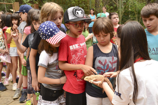 Buy your photos of the eventNR1 - Cl�ssico  18 a 20/10/17 on Fotop